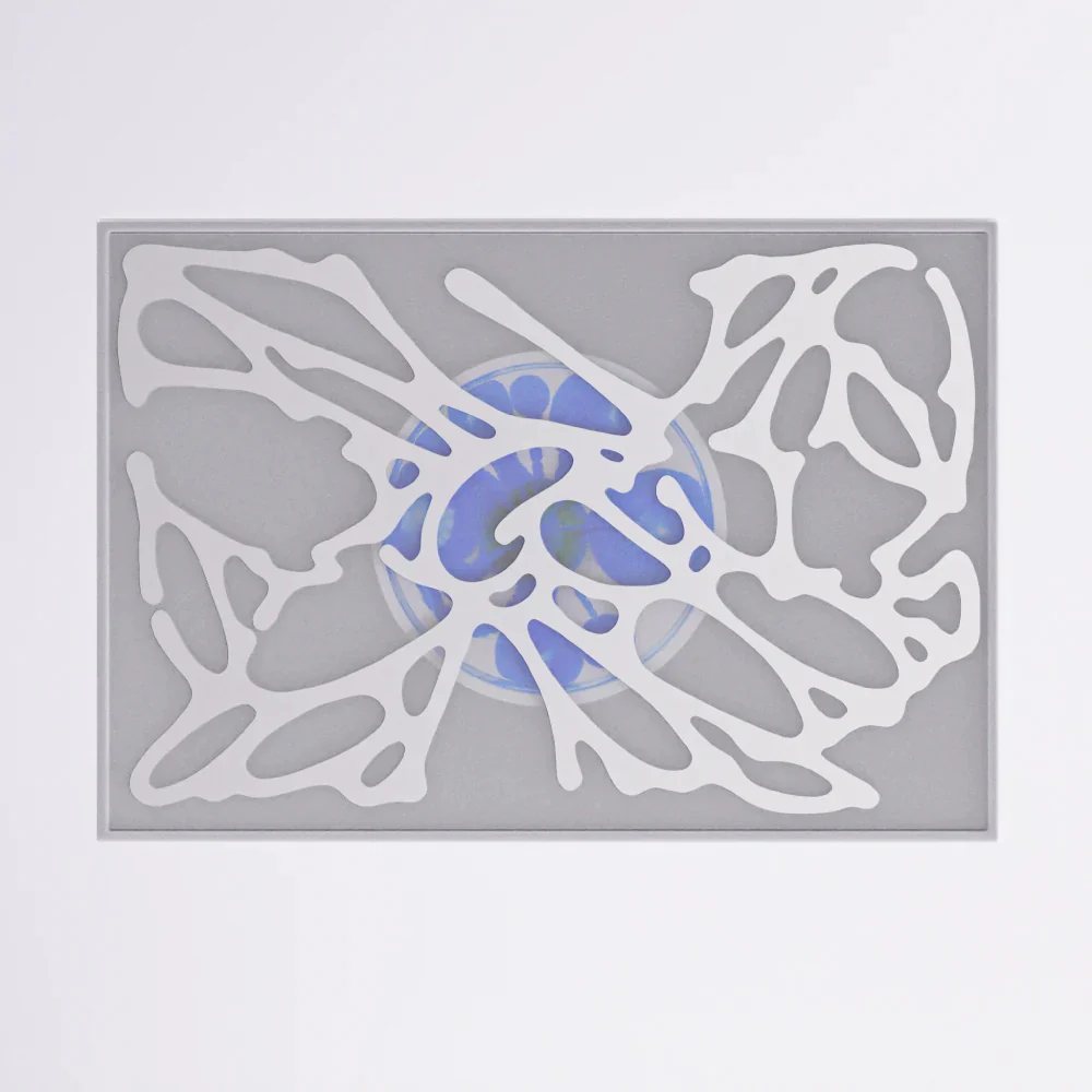 XG - NEW DNA [1st Mini Album] - Image 3